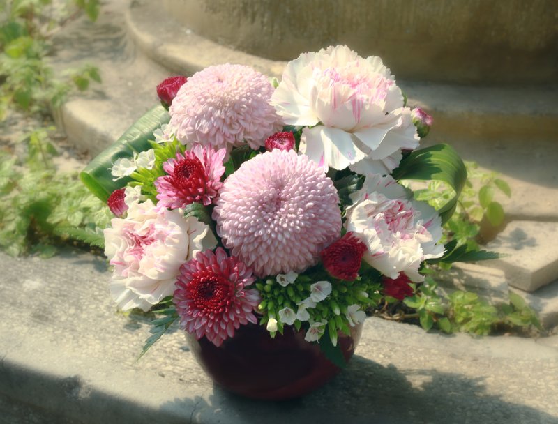 乒乓菊日式桌花 - 植栽/盆栽 - 植物．花 粉红色