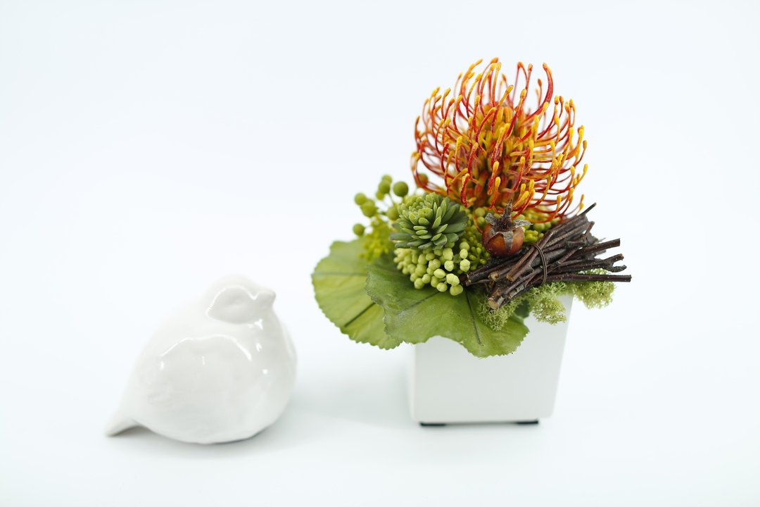 人造花饰-白盆橘针垫小品 - 植栽/盆栽 - 其他材质 橘色