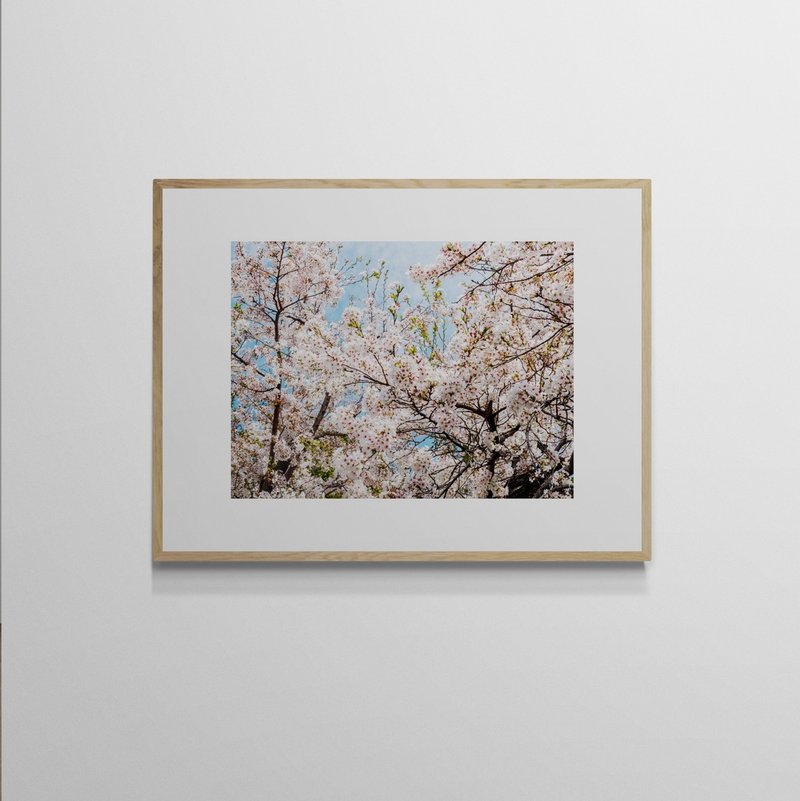 【艺术挂画】吴金灿 Leo Wu | 022 sakura 樱 - 海报/装饰画/版画 - 纸 