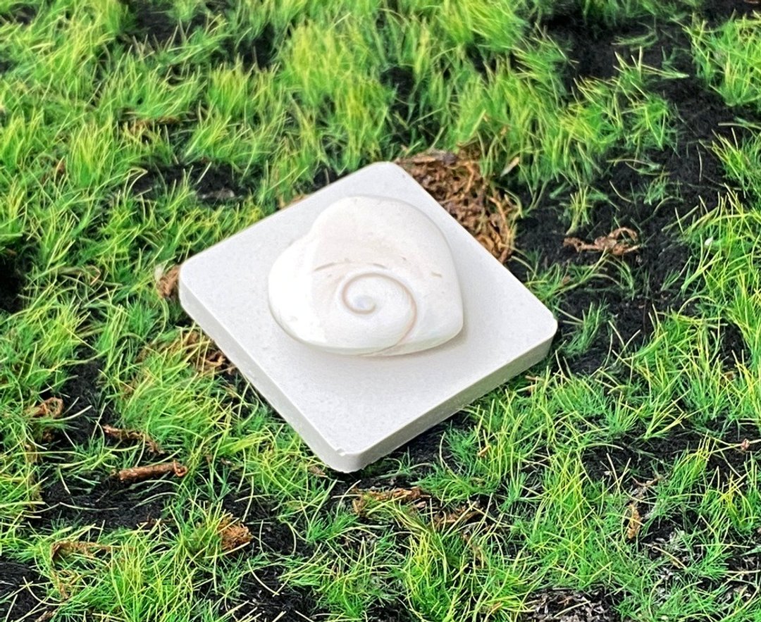 可爱爱心贝壳摆件 疗愈 礼品 快速出货 - 摆饰 - 其他材质 白色