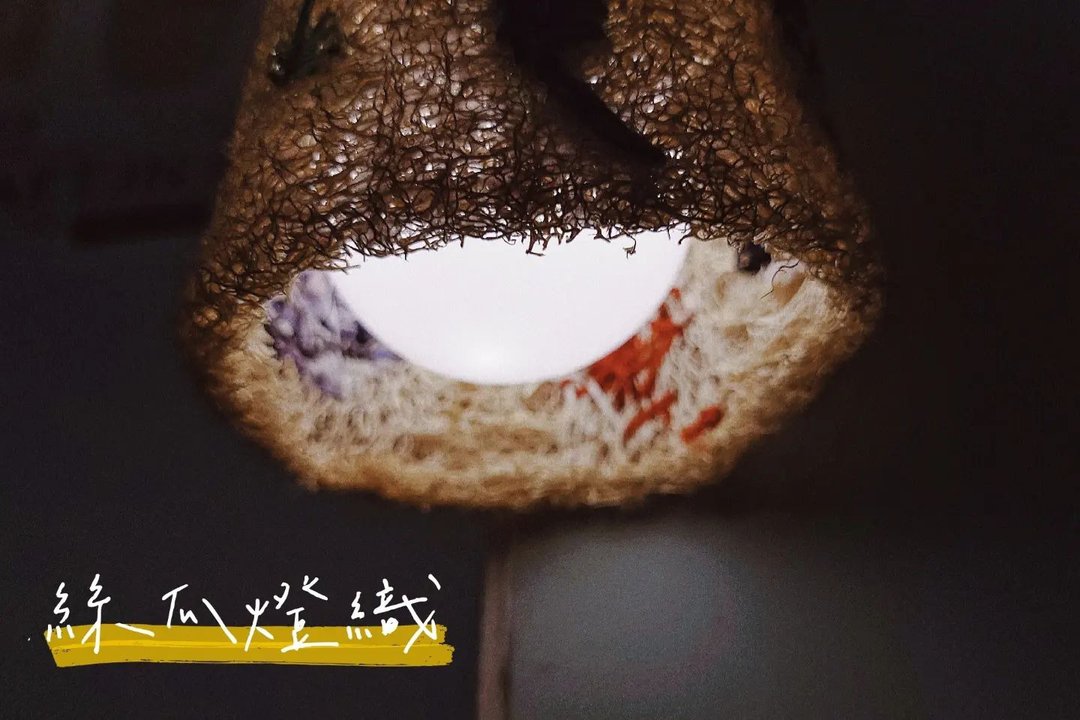 丝丝入扣灯织 丝瓜络 刺绣 loofah lamp - 灯具/灯饰 - 植物．花 卡其色