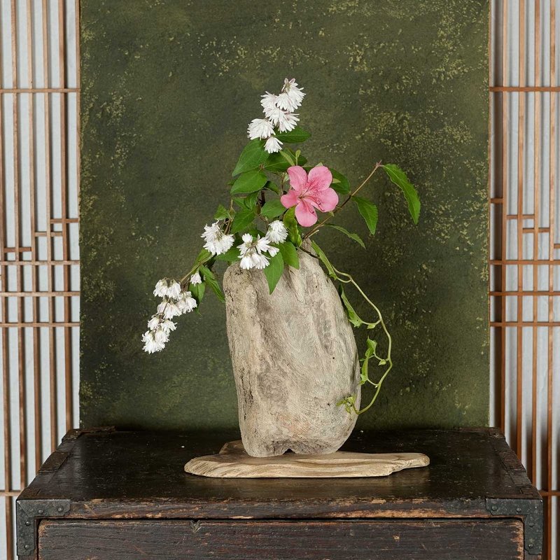 不妨用您喜欢的当季花痴装饰您的空间，营造出愉悦的氛围。漂流木花瓶，木制花瓶，花瓶，小花瓶，99 - 花瓶/陶器 - 木头 咖啡色