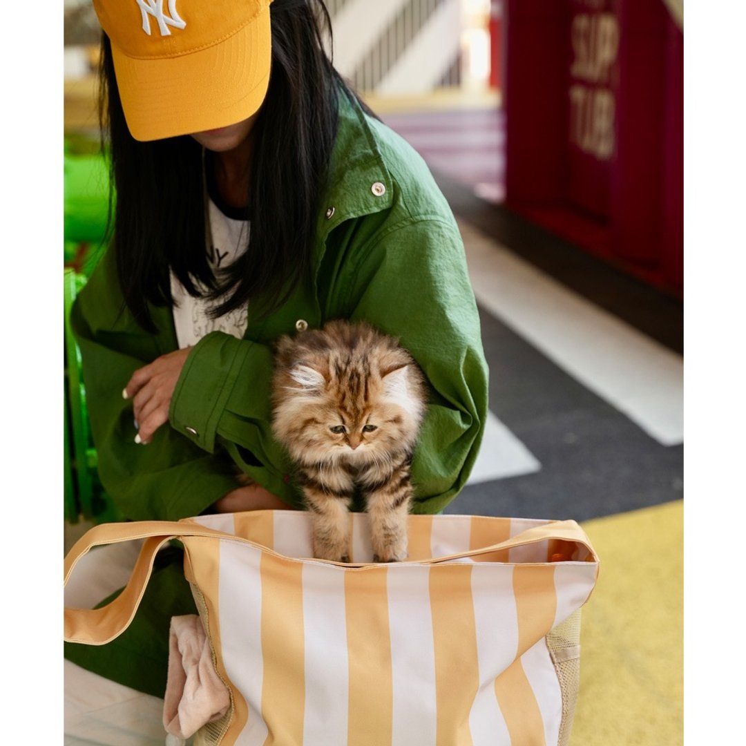 Pawsholic 爪迷 条纹宠物包-条纹黄 - 外出包 - 聚酯纤维 