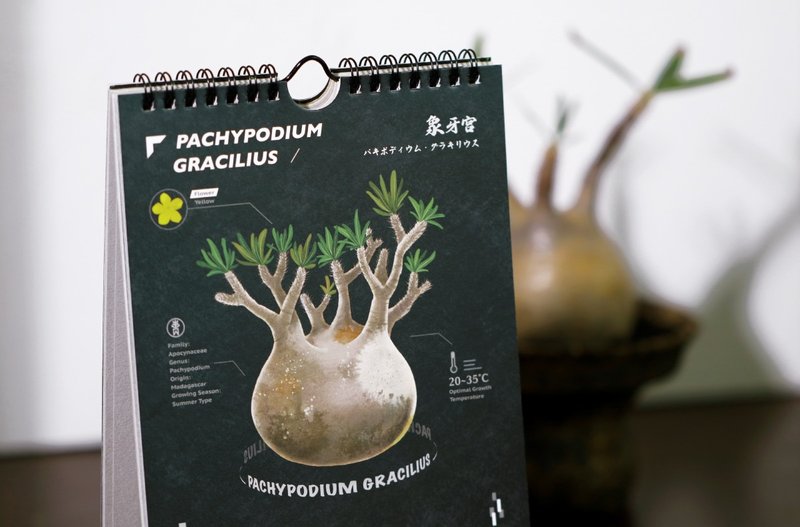 2025块根月历 - 年历/台历 - 纸 黑色