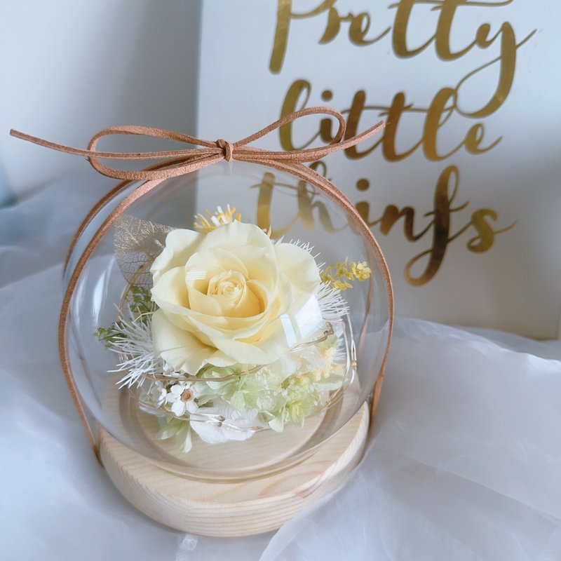 奶油晨光 永生玫瑰玻璃盅 永生花钟罩 生日 告白 纪念日 圣诞节 - 干燥花/捧花 - 植物．花 黄色