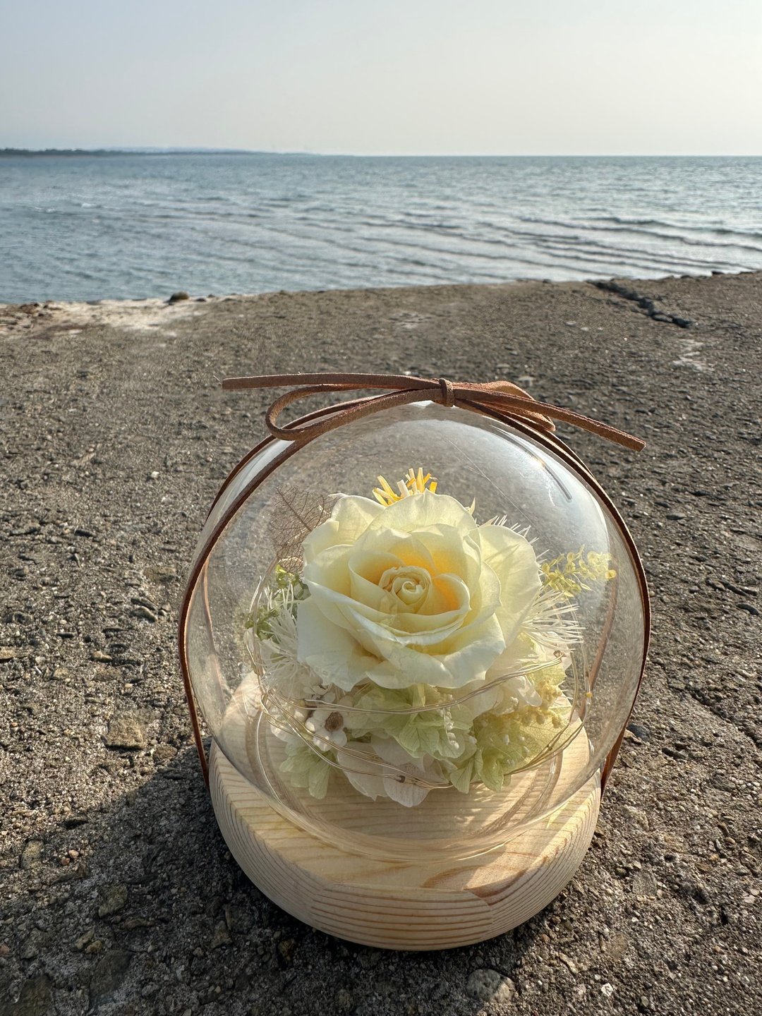 奶油晨光 永生玫瑰玻璃盅 永生花钟罩 生日 告白 纪念日 圣诞节 - 干燥花/捧花 - 植物．花 黄色