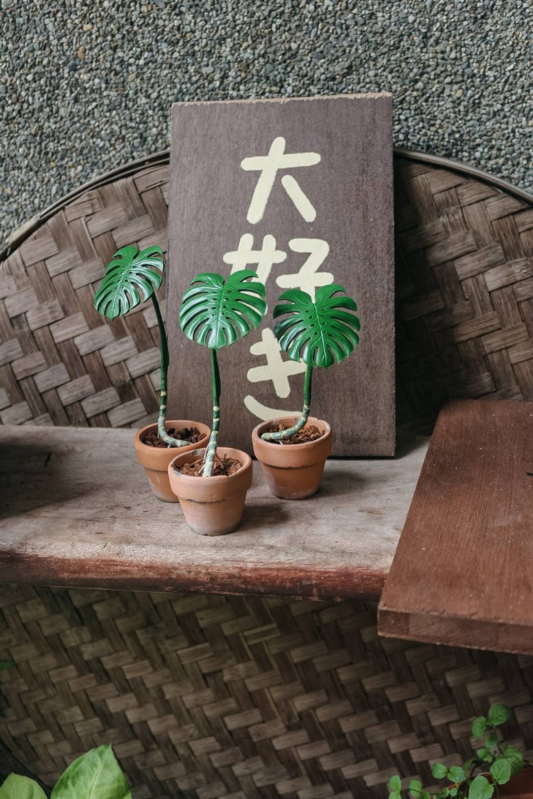 Monstera Miniature Art 龟背芋盆栽 袖珍黏土模型订制 - 玩偶/公仔 - 粘土 