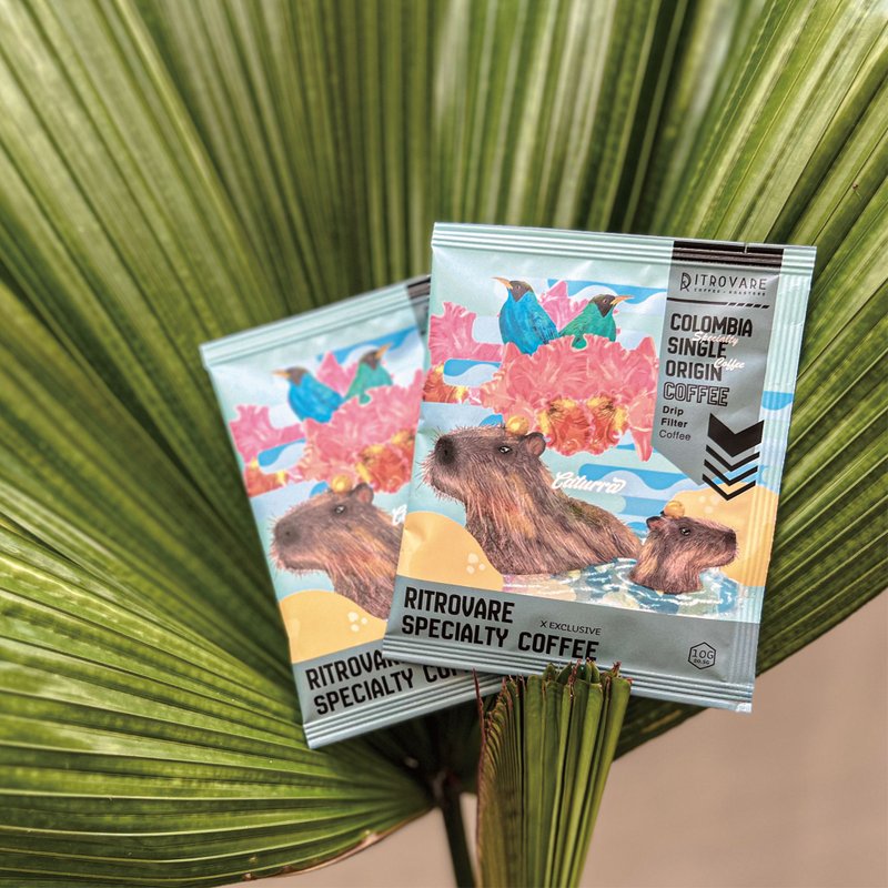 【寻品咖啡・两件5折】精品滤挂咖啡 - 发现庄园 卡杜拉 10入盒 - 咖啡 - 新鲜食材 蓝色