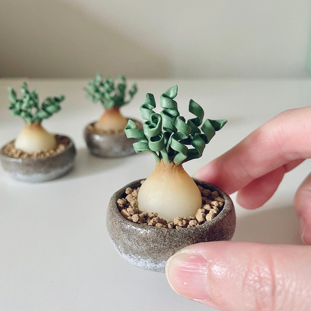 接单制作款 迷你弹簧草盆栽。迷你黏土块根植物摆件 - 植栽/盆栽 - 粘土 绿色