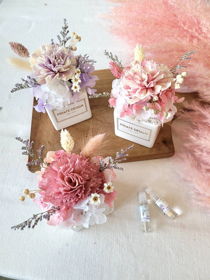 干燥康乃馨盆花 +手作材料包+3ml精油+教学影片 - 植栽 - 植物．花 粉红色