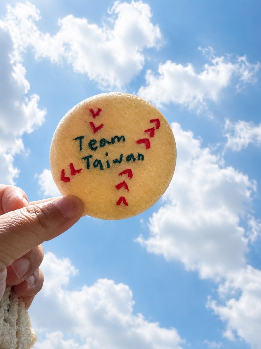 刺绣贴纸【Team Taiwan 棒球】毛巾绣 立体刺绣 DND - 贴纸 - 绣线 
