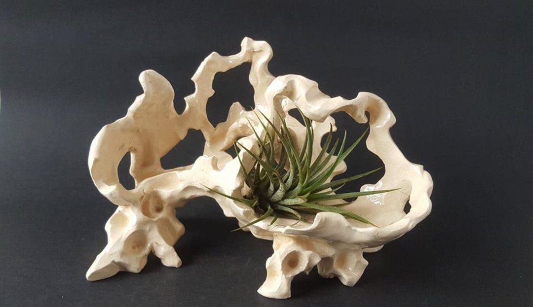 Model Ceramic Sculpture &amp; Home Decor - 植栽/盆栽 - 陶 