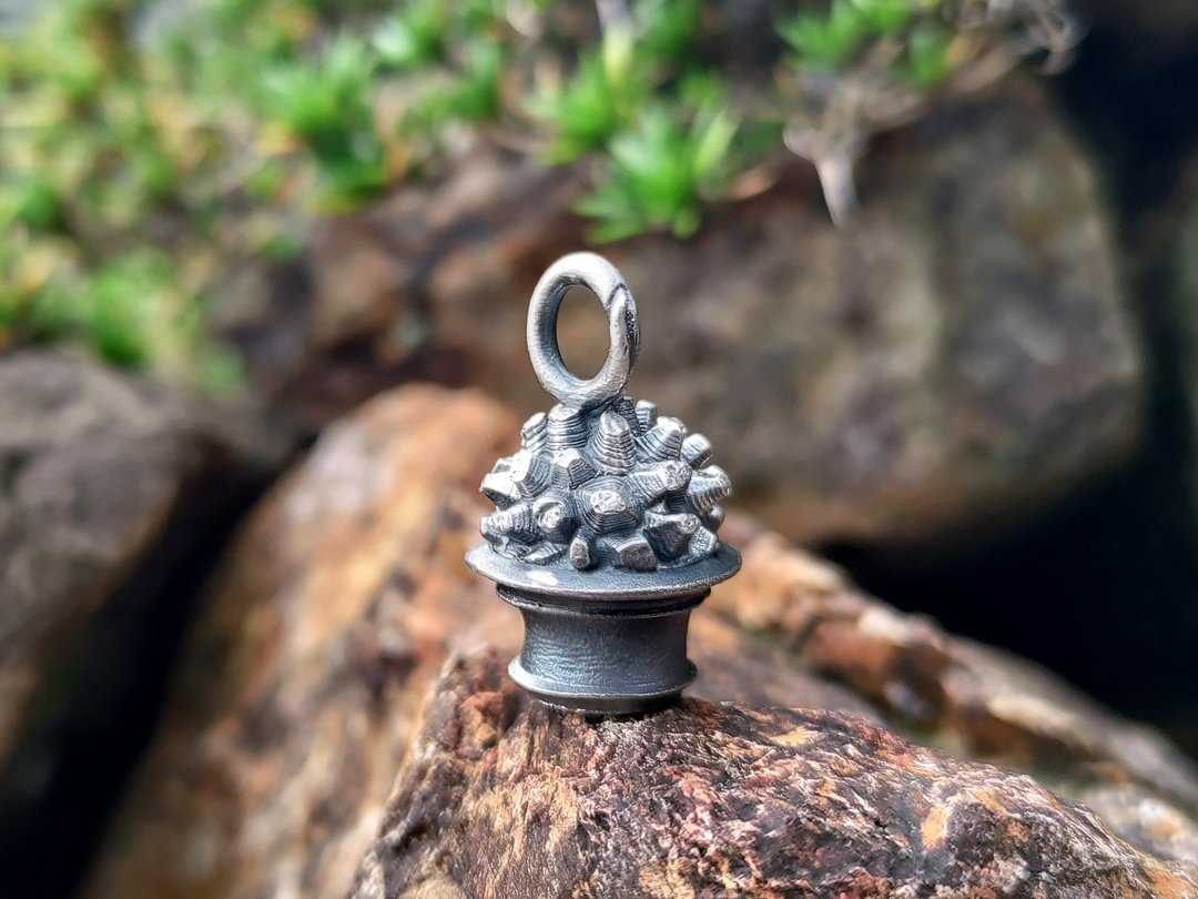 Succulent Dioscorea African Tortoise Dragon Pendant with Leather Strap Necklace - 项链 - 其他金属 银色