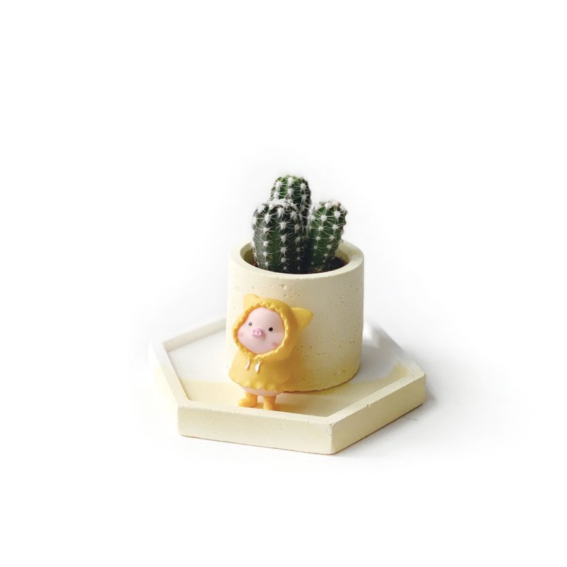 (预购) 活力黄系列 | 雨衣小猪黄色系水泥盆盘植栽组 - 植栽/盆栽 - 水泥 黄色