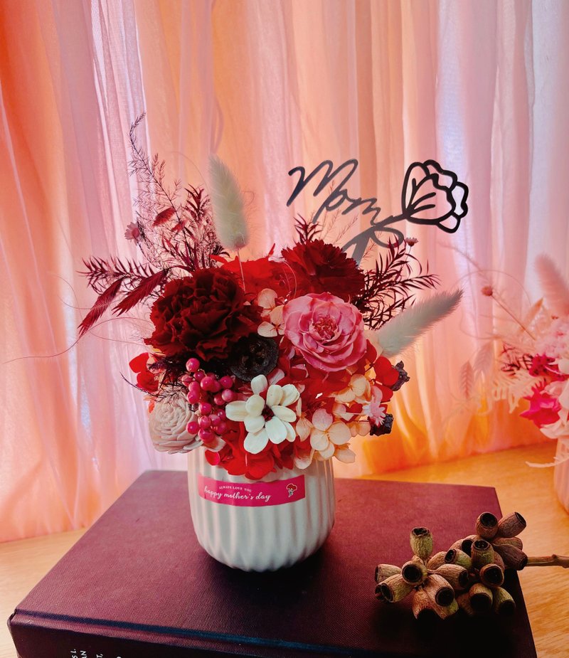 母亲节花礼 永生花康乃馨小盆花 母亲节永生康乃馨盆花 - 摆饰 - 植物．花 红色