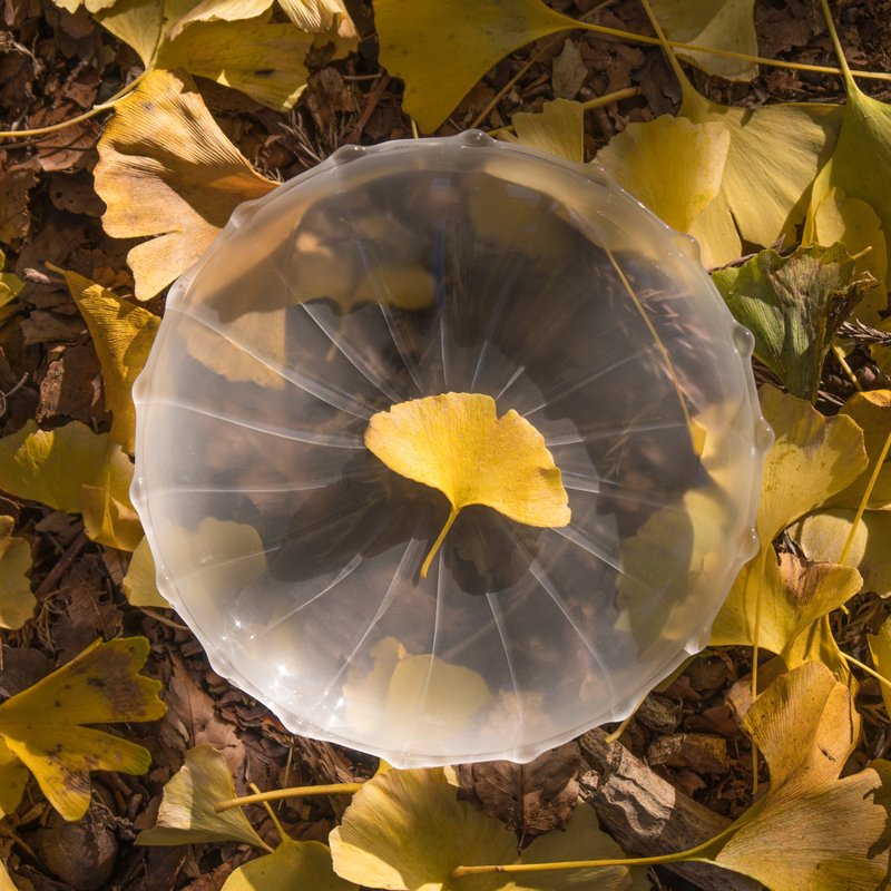 18星芒/ 明月点心盘 白霜玻璃蛋糕盘 - 盘子/餐盘/盘架 - 玻璃 白色