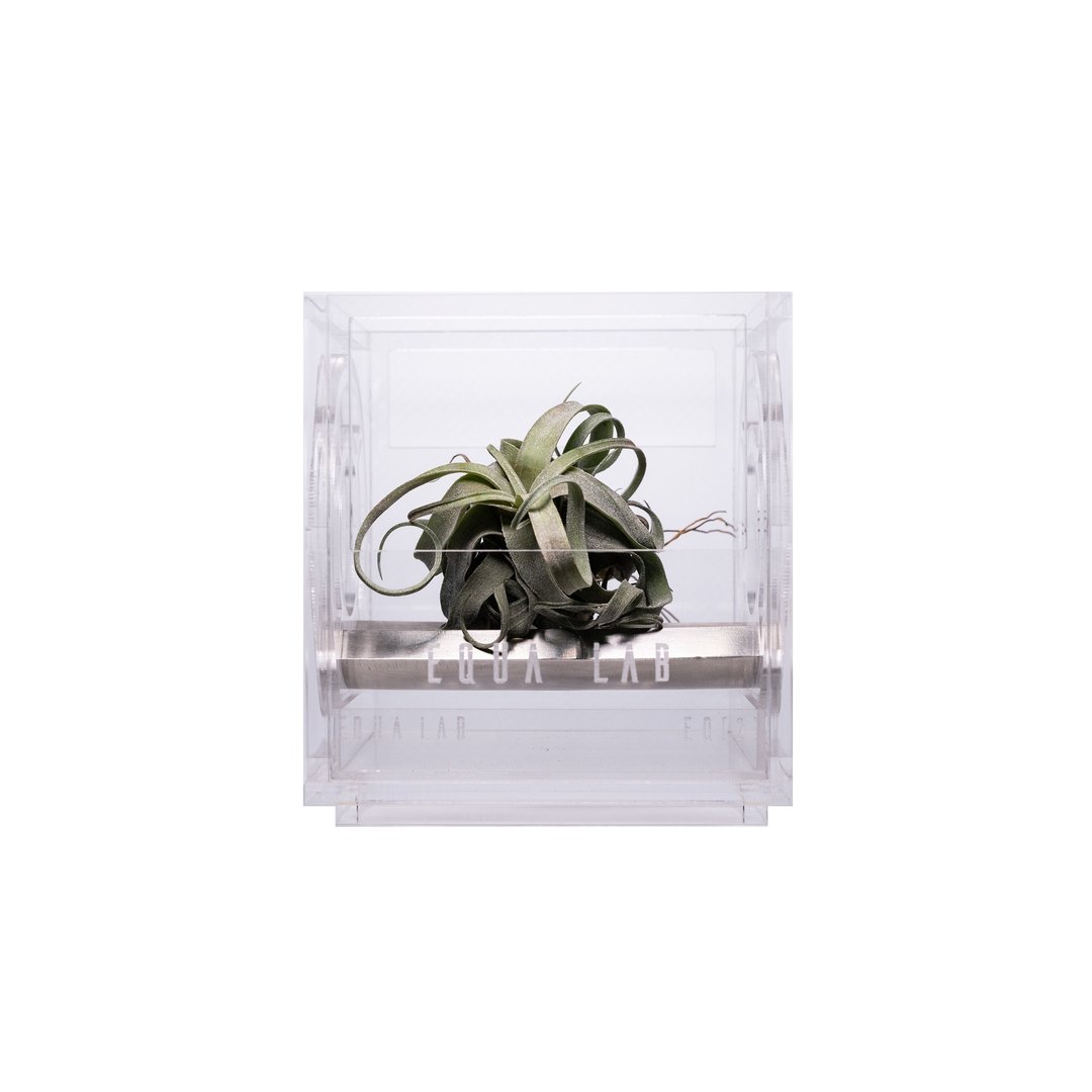 EQUALAB MFNVBOX 多功能自然景观箱 空气凤梨模块 for Tillandsia - 植栽/盆栽 - 其他材质 透明