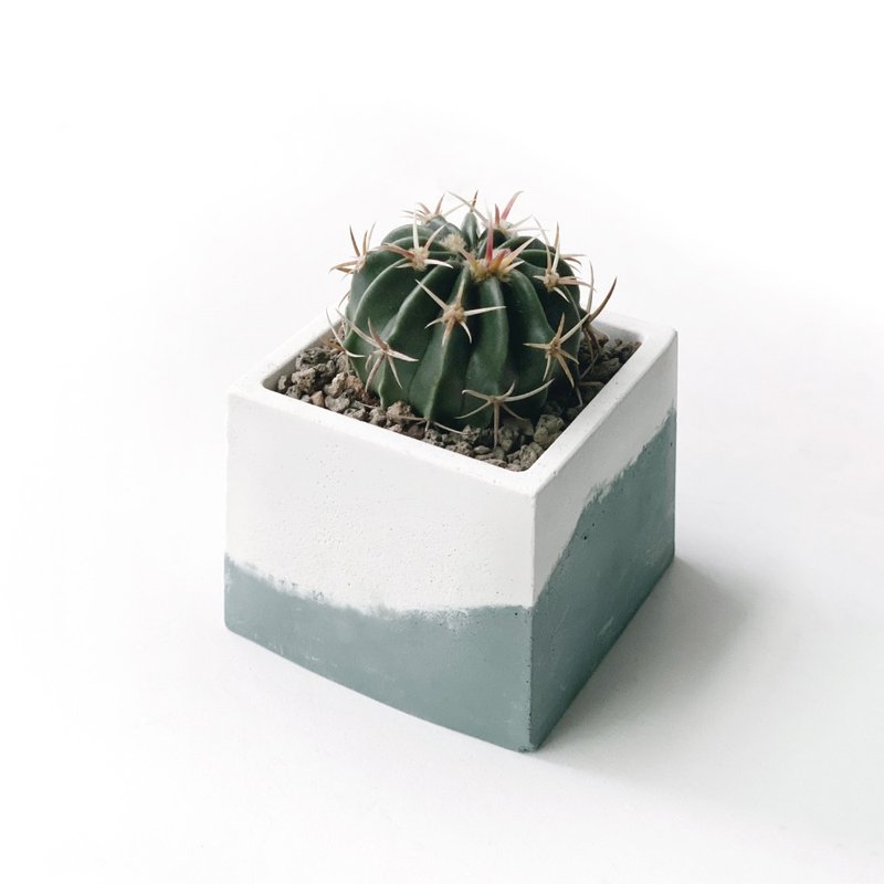 (现货) 莫兰迪绿系列 | 凌波 方形双色水泥仙人掌植栽 - 植栽/盆栽 - 植物．花 绿色