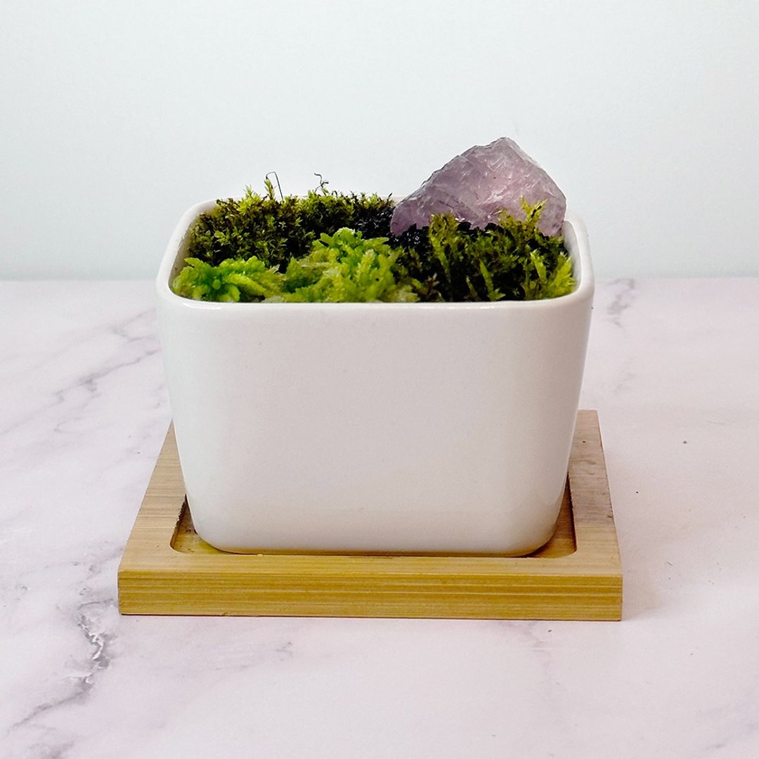 全定制化设计 –灵石苔藓盆栽 / 粉水晶 - 植栽/盆栽 - 植物．花 