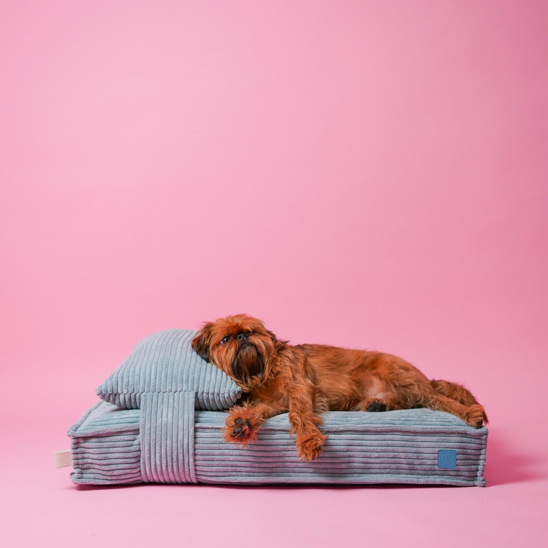 Memory Foam Bed For Middle-Sized Dogs size M 80x60 cm / 31x24 inches Mint - 床垫/笼子 - 其他材质 绿色
