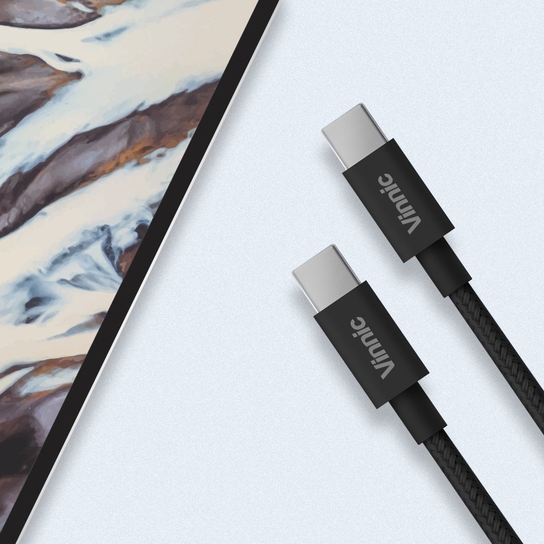 Vinnic USB-C to USB-C 传输充电线 - 充电宝/传输线 - 其他材质 黑色