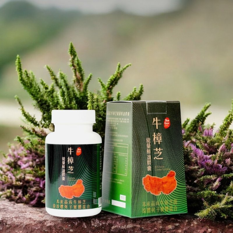 使用四年份牛樟芝萃取液填充的牛樟芝能量鲜盈胶囊 30粒/盒 - 健康/养生 - 纸 绿色