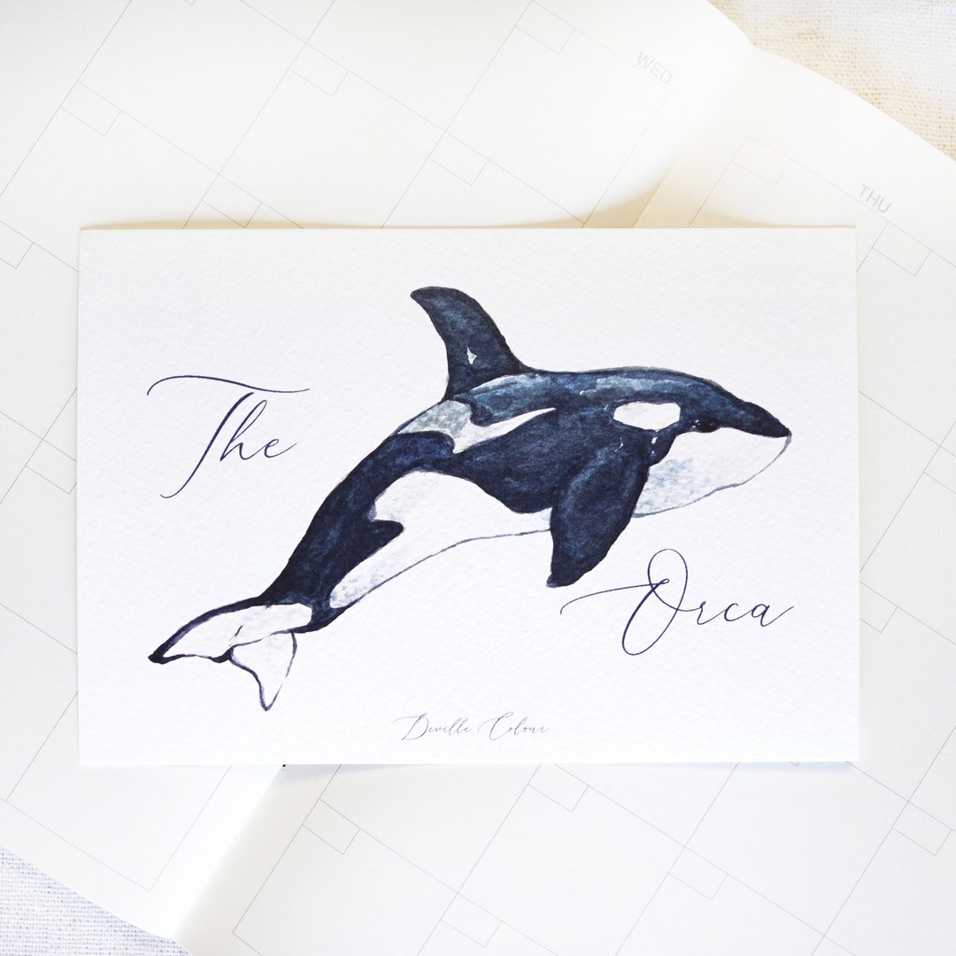 【鲸归何处 - Orca 虎鲸】水彩插画 明信片 鲸鱼 鲸落 海洋 蓝色 - 卡片/明信片 - 纸 蓝色