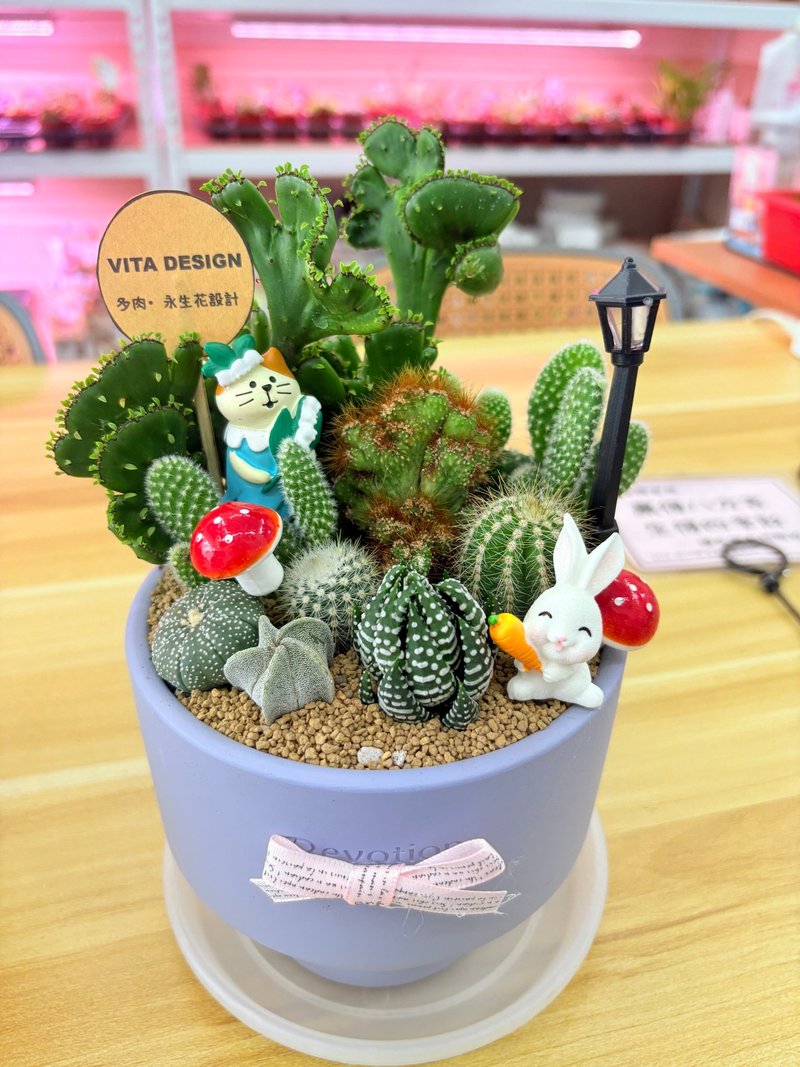 【体验活动】Vita Design实体多肉组盆课程-初级造景 - 植栽 - 陶 
