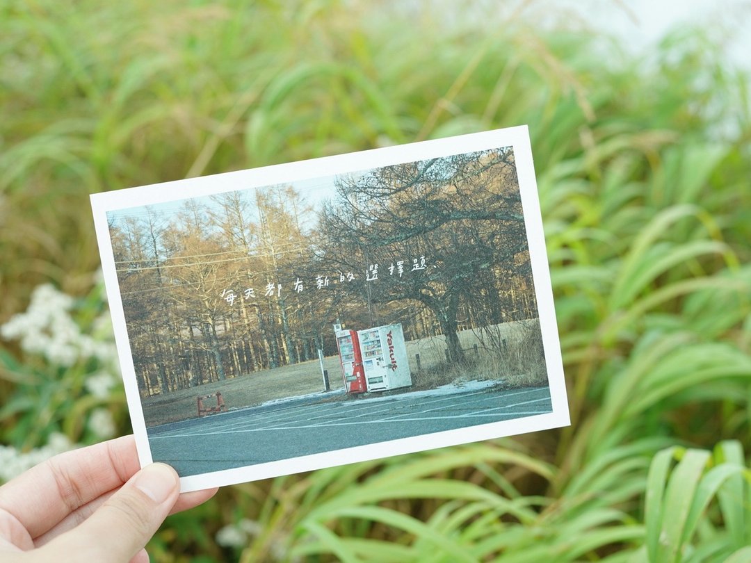 新选择题/ Magai's postcard - 卡片/明信片 - 纸 橘色