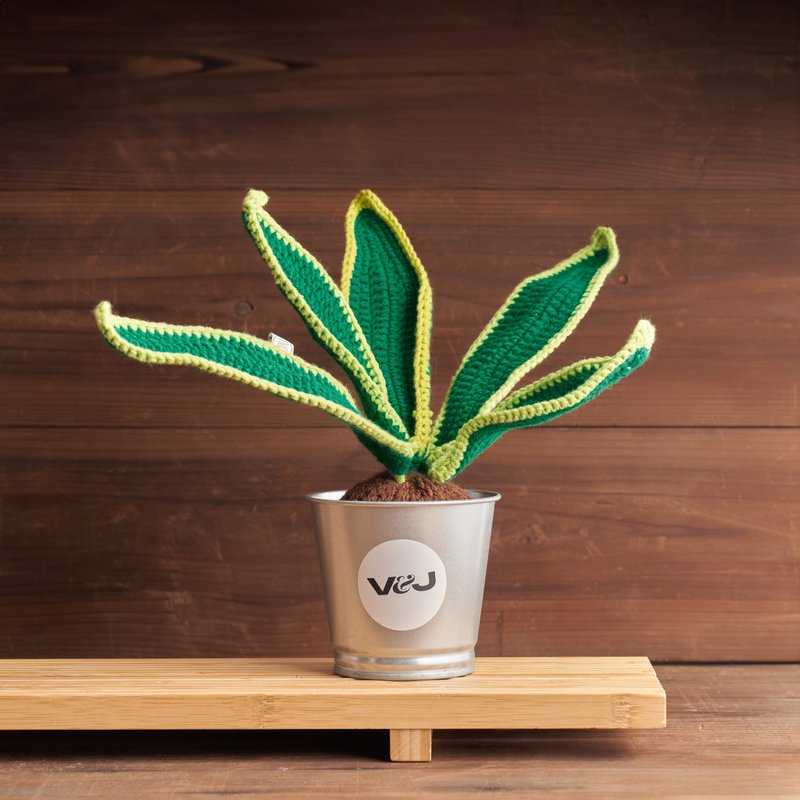 植栽系列 /虎尾兰/有基础者可/台北迪化街 - 编织/羊毛毡/布艺 - 羊毛 