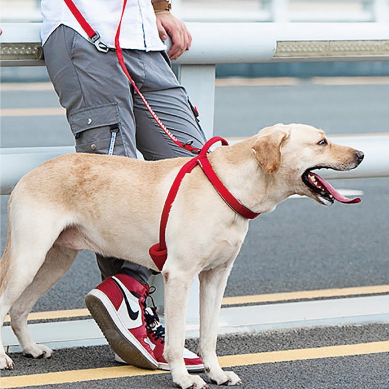 【DOGNESS多尼斯】反光系列宠物胸背带(5色) - 其他 - 其他材质 多色