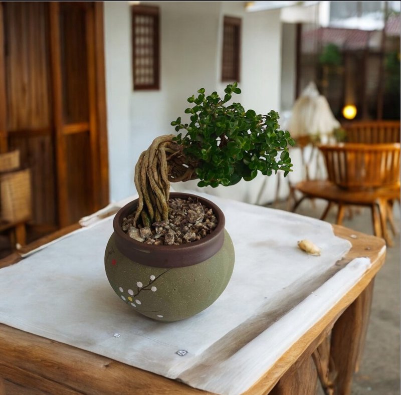 【禅风再现】寿娘子 专人雕朔 开幕新居乔迁升官送礼阳台居家摆设 - 植栽/盆栽 - 瓷 