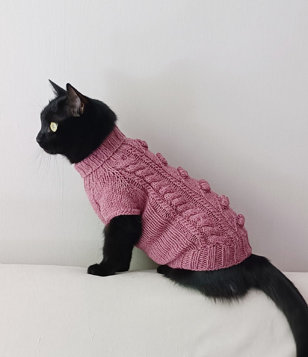 阿兰猫毛衣 狮身人面像毛衣 羊毛猫毛衣 宠物针织衣服 - 衣/帽 - 羊毛 