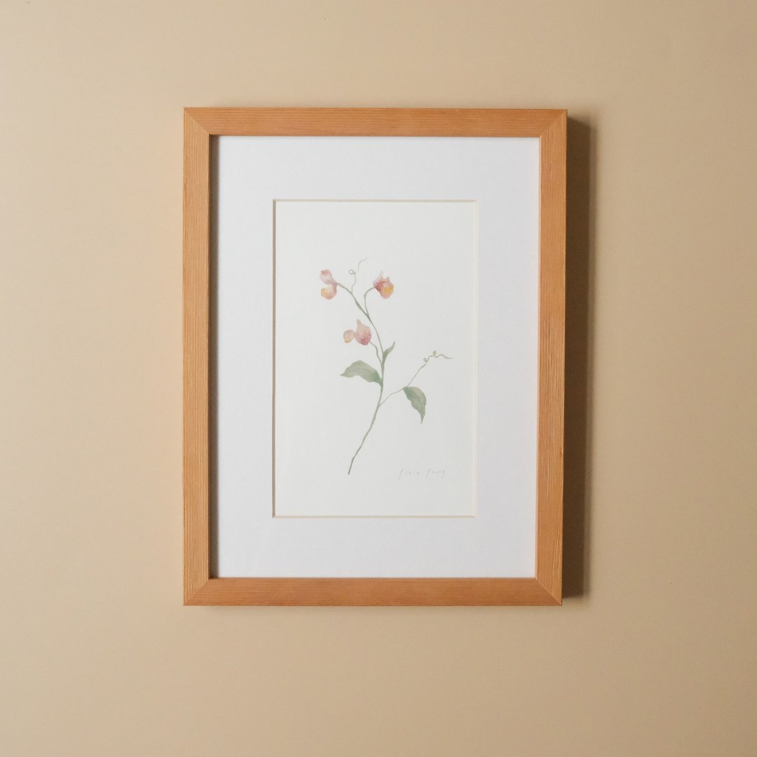 植物插画-香豌豆 / 挂画 / 实木表框 - 海报/装饰画/版画 - 纸 