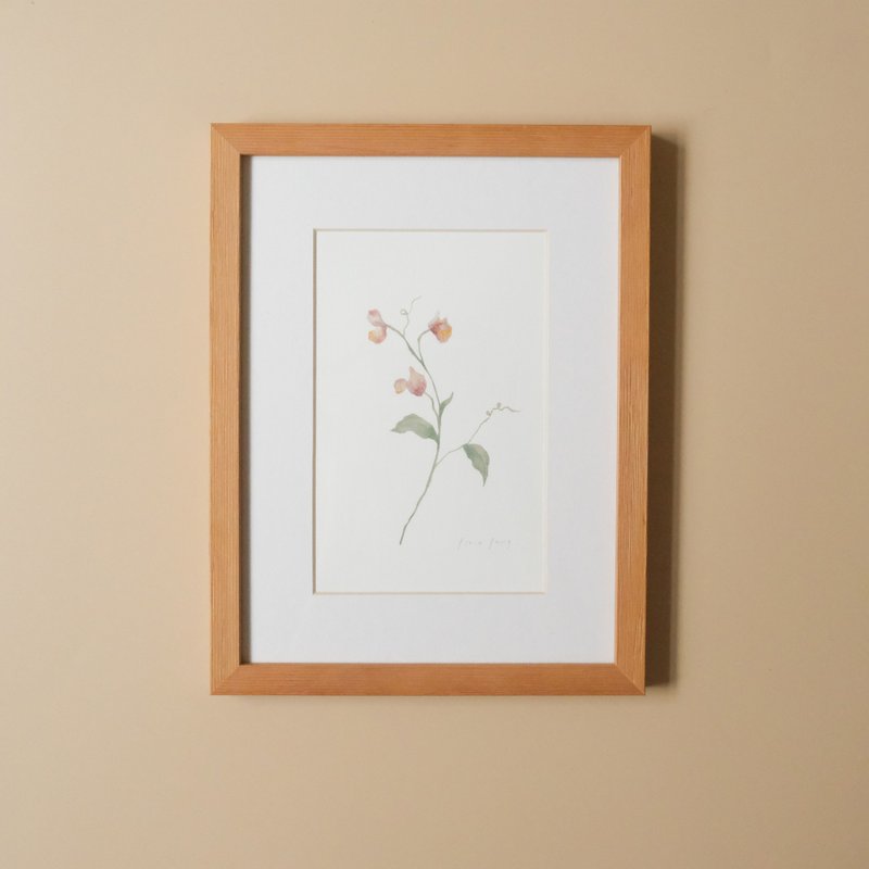 植物插画-香豌豆 / 挂画 / 实木表框 - 海报/装饰画/版画 - 纸 