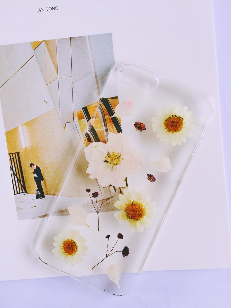 小雏菊干花iPhone6/6S/6P/6SP系列手机壳 - 其他 - 其他材质 