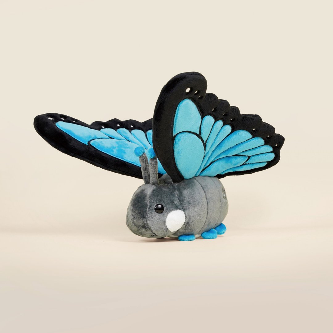 Bellzi | Morpho Butti 大蓝闪蝶 - 玩偶/公仔 - 其他人造纤维 蓝色