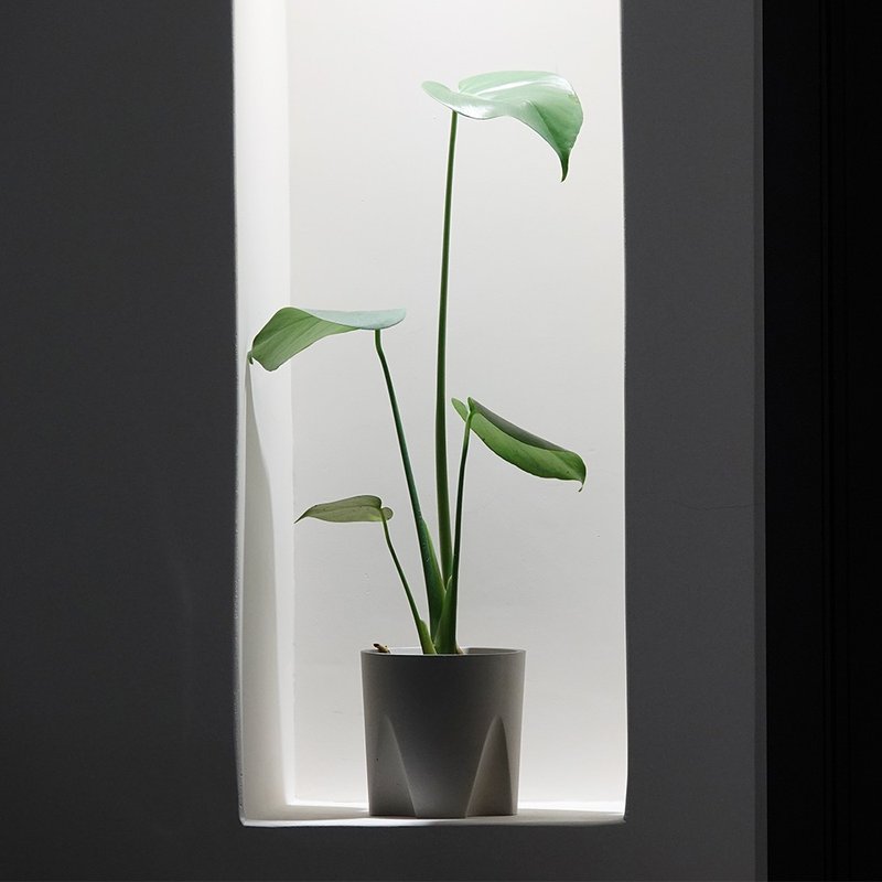 水泥教堂 | 免移盆水泥盆器 - 植栽/盆栽 - 水泥 灰色