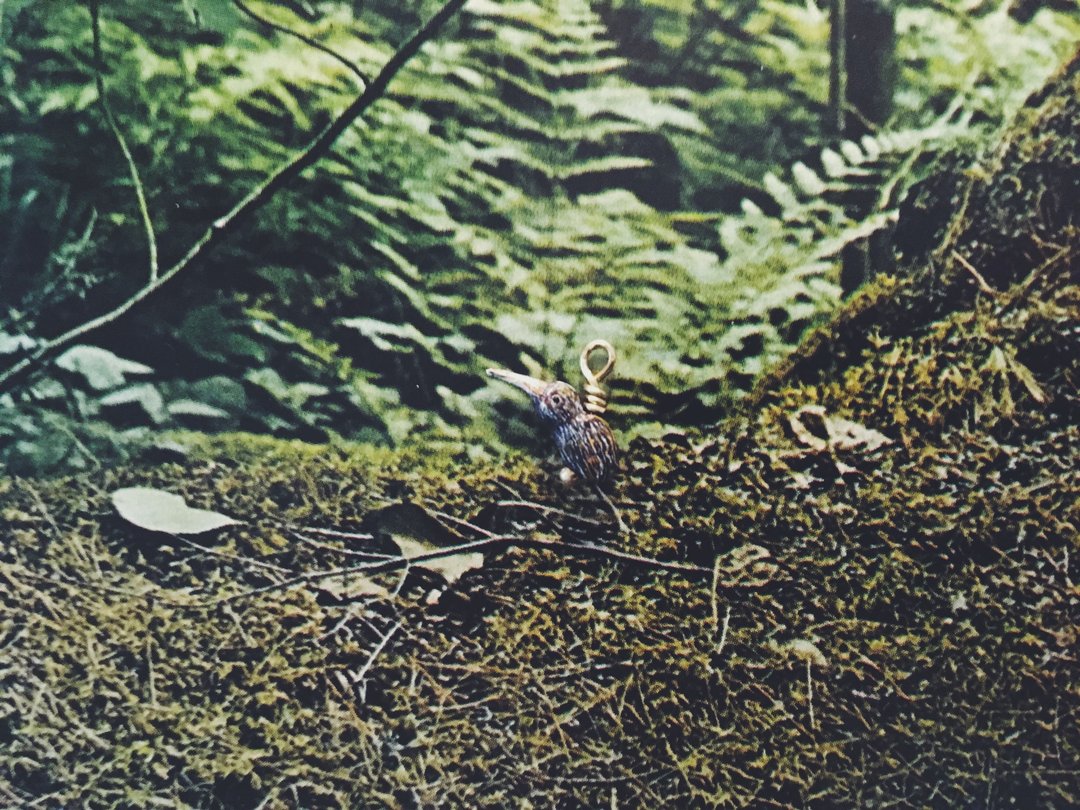 手绘坠子 - 奇异鸟 / Apteryx / キーウィ - 其他 - 铜/黄铜 咖啡色