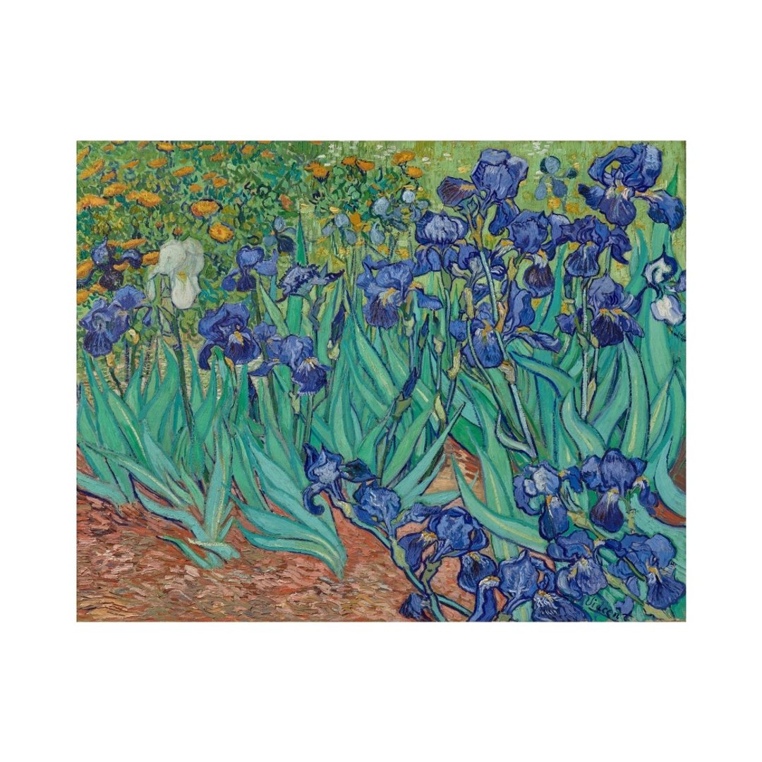 【艺术微喷】梵谷 van Gogh | Irises 1899 - 海报/装饰画/版画 - 纸 