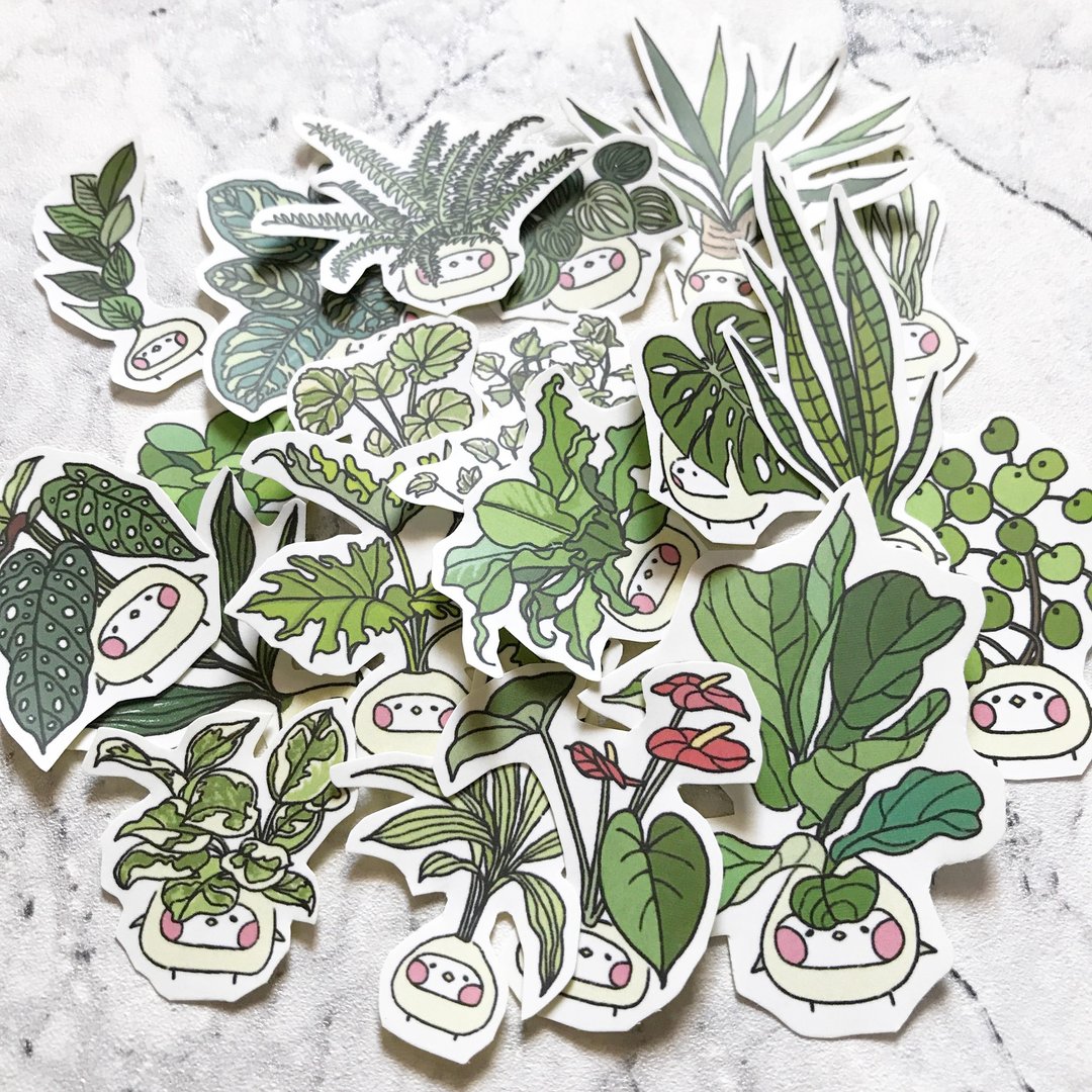 布籽生物  | 观叶植物籽 插画贴纸 - 贴纸 - 纸 绿色