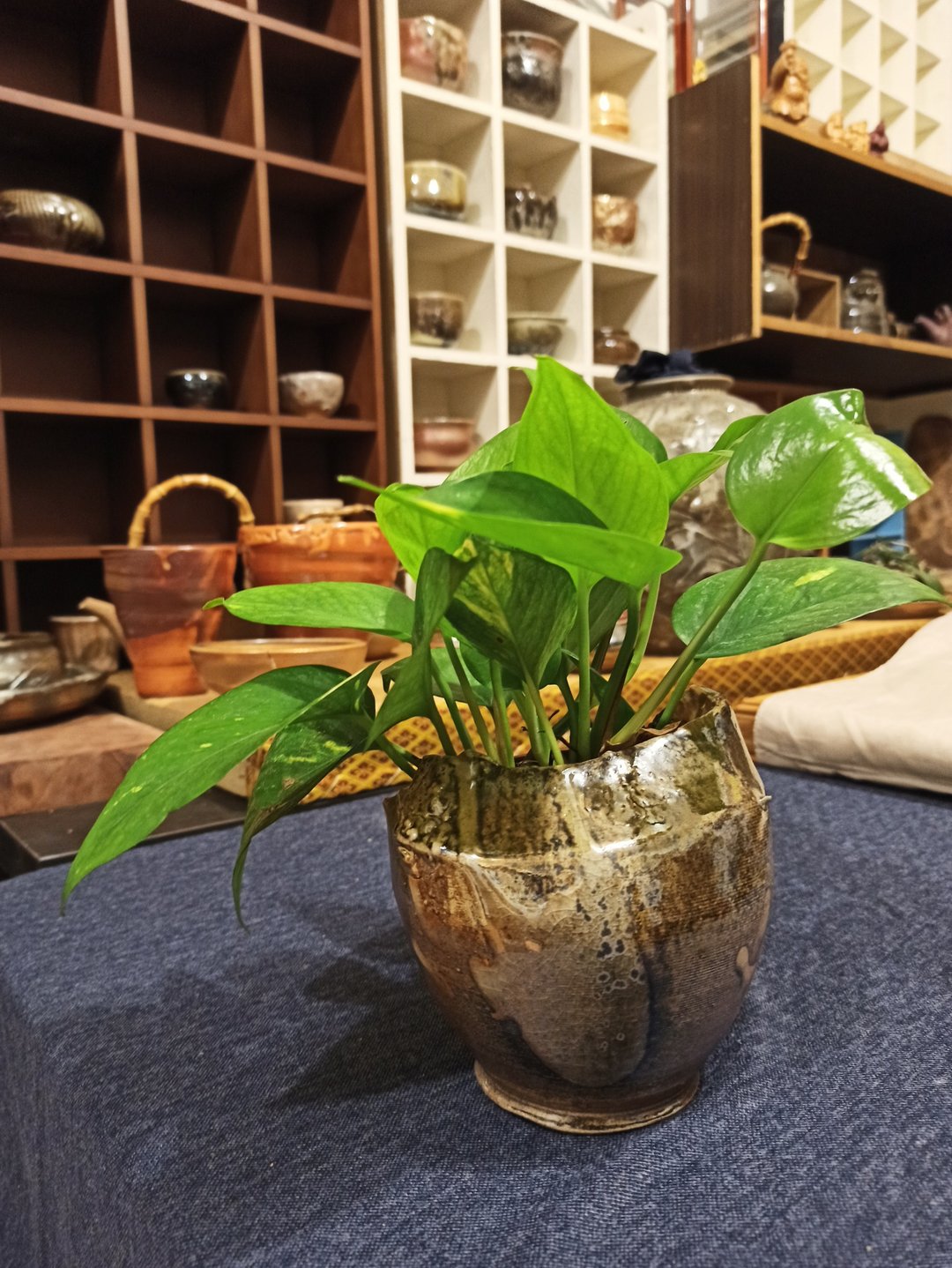 柴烧花瓶 - 花瓶/陶器 - 陶 金色