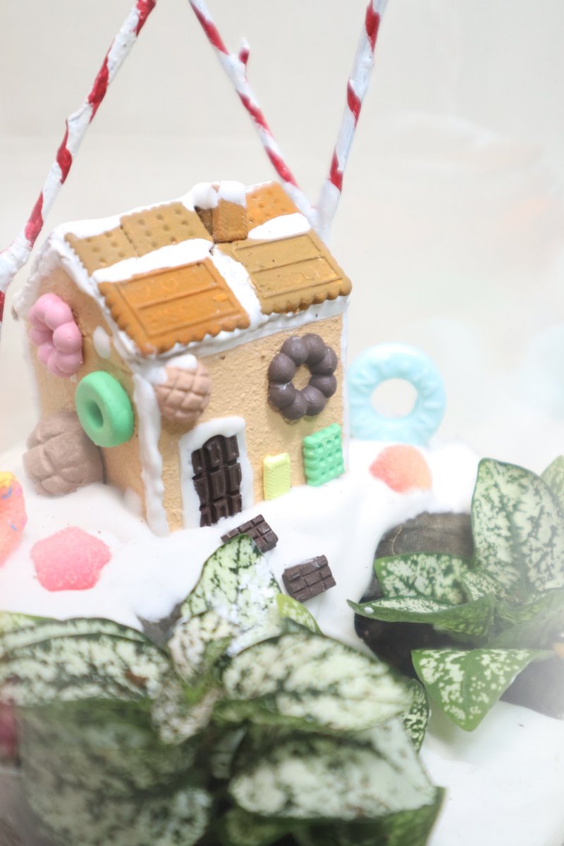 【微景观】糖果村1225号 - 圣诞礼物/交换礼物/糖果屋/姜饼屋 - 植栽/盆栽 - 植物．花 绿色