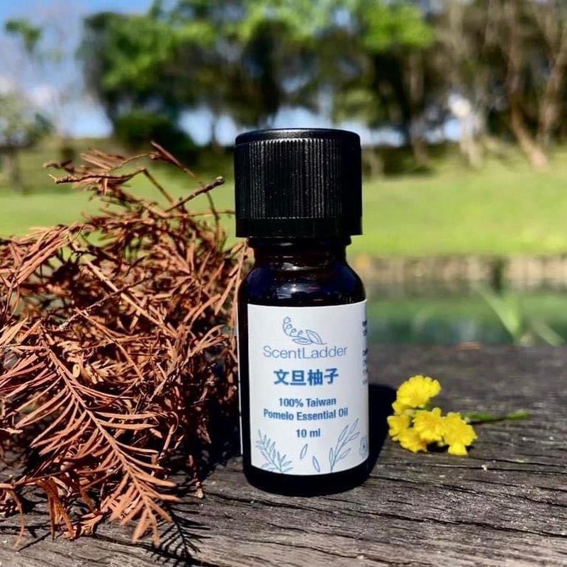 文旦柚子 I 单方精油 I 台湾100 I 芳香愉悦 - 香薰/精油/线香 - 精油 