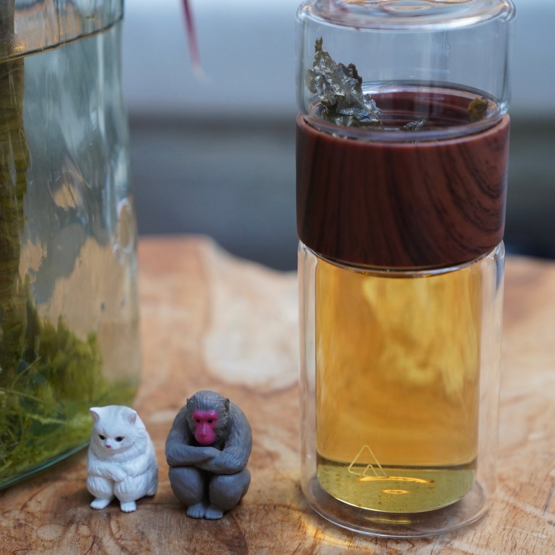 Artellia 玻璃泡茶水樽 (340ml、可冷热泡茶、不含BPA) - 茶具/茶杯 - 玻璃 
