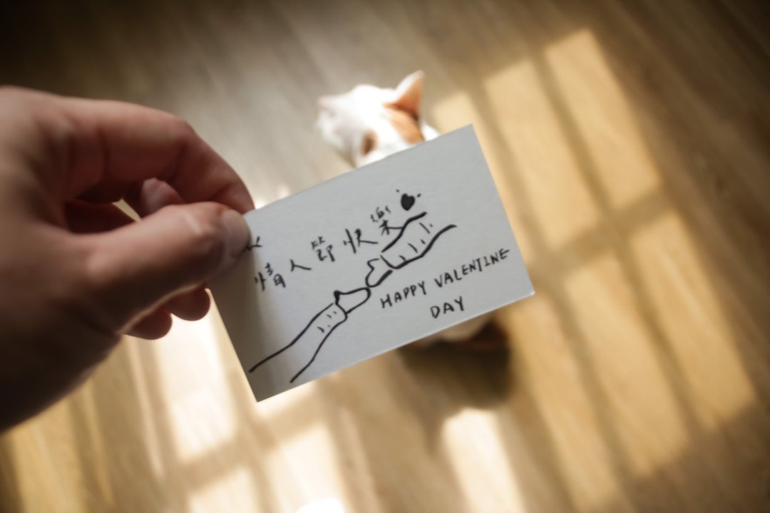 代写祝贺小卡 - 卡片/明信片 - 纸 白色