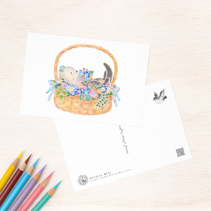 5 件套。就像一本图画书。明信片 花篮里的海獭 Pota PC-543 - 卡片/明信片 - 纸 多色
