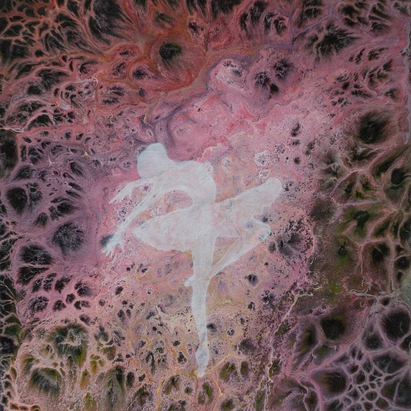 芭蕾舞女演员绘画具象原创艺术芭蕾舞演员艺术品女孩跳舞 - 海报/装饰画/版画 - 其他材质 多色