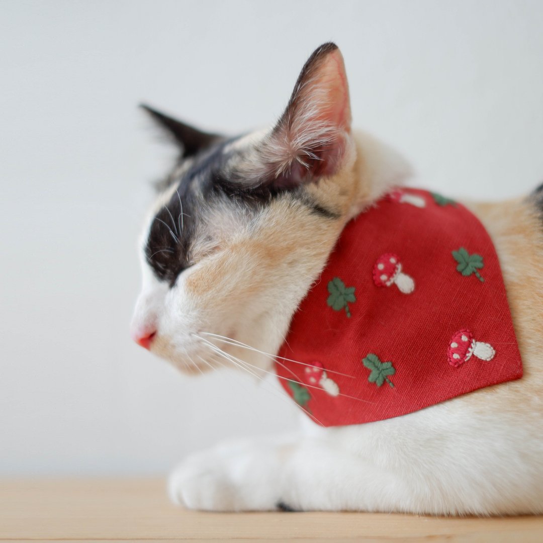 Little forest - Breakaway cat collar : Ruby red with mushrooms - 项圈/牵绳 - 棉 红色