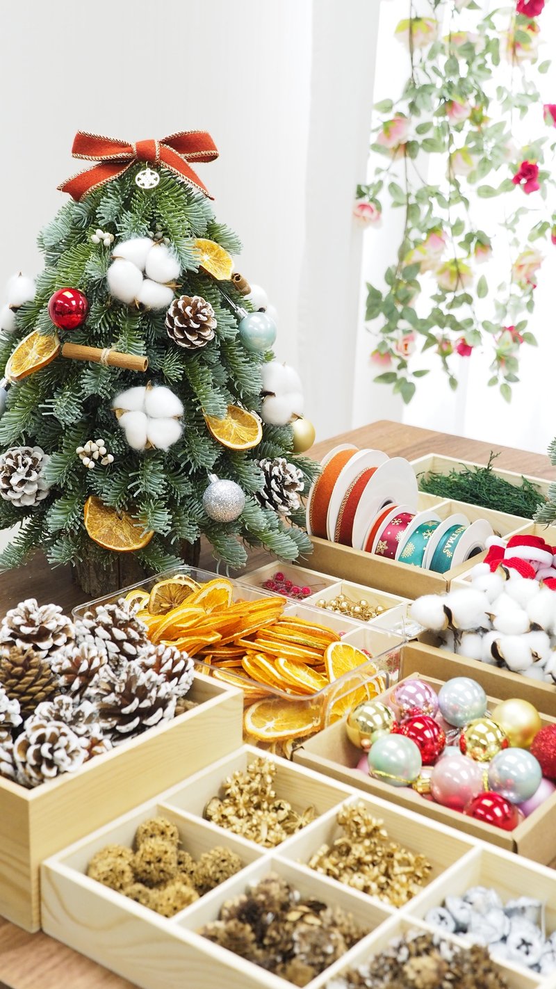 圣诞树DIY (40cm高) - 植栽 - 植物．花 